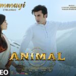 Ammayi Song Lyrics - Animal Movie