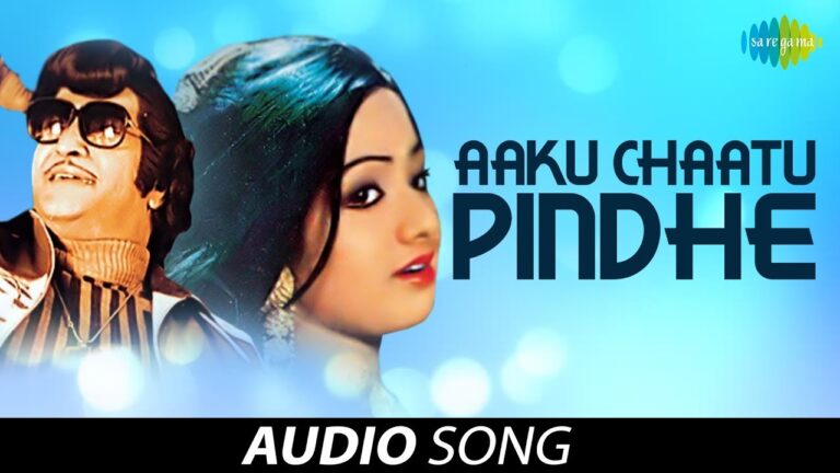 Aaku Chaatu Pinde Tadise Song Lyrics - Vetagadu Movie