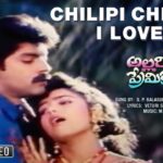 Chilipi Chilaka I Love You Song Lyrics - Allari Premikudu Movie