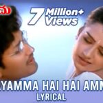 Hayamma Hai Hai Amma Song Lyrics - Preminchu Movie