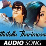 Puttintollu Tharimesaru Song Lyrics - Vetagadu Movie