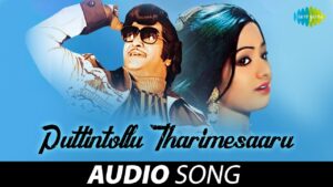 Puttintollu Tharimesaru Song Lyrics - Vetagadu Movie