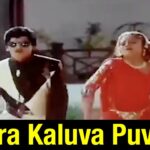 Erra Kaluva Puvva Song Lyrics - Yamaleela Movie