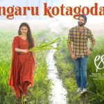 Bangaru Kotagodallo Song Lyrics - AAY Movie